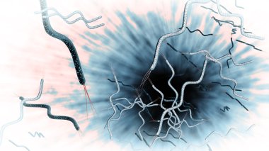 Spirilla Bacteria clipart