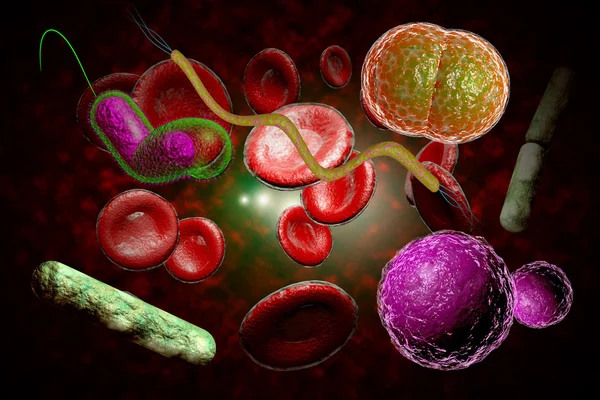 Bakterien infizieren Blutkreislauf — Stockfoto