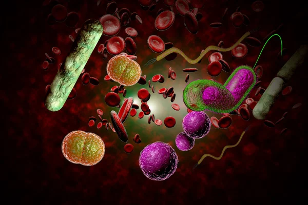 Infezione batterica Flusso sanguigno — Foto Stock
