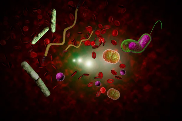 박테리아 감염 혈 류 — 스톡 사진