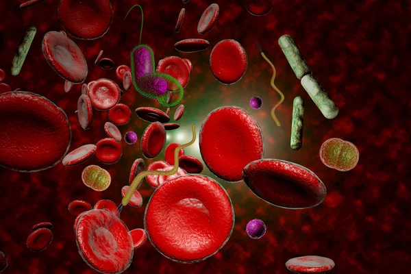 Infección bacteriana Corriente sanguíneo —  Fotos de Stock