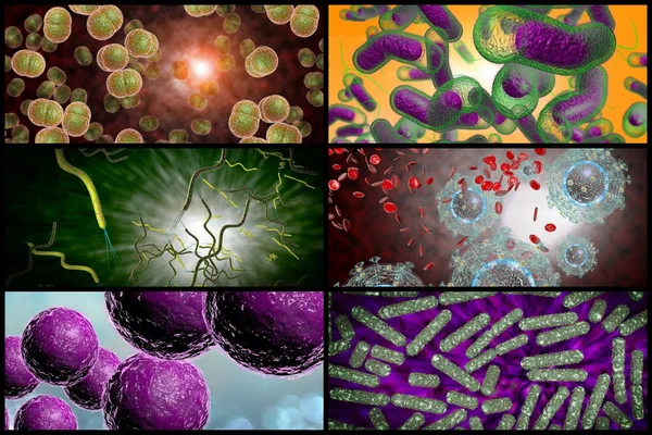 Bacteriën infectie Collage — Stockfoto