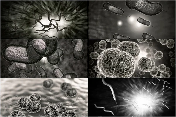 Коллаж о бактериальной инфекции — стоковое фото