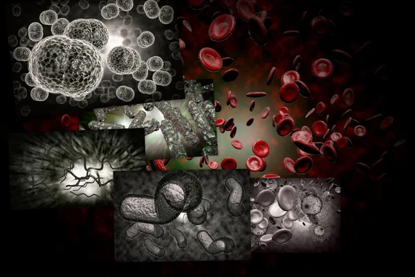 Бактерії інфекції колаж — стокове фото