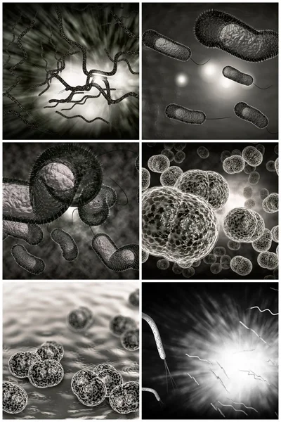 Bacteria Infection Collage — Stock Photo, Image