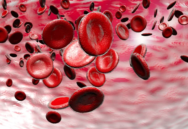 Red Blood Cells — Stock Photo, Image