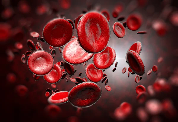 Red Blood Cells — Stock Photo, Image