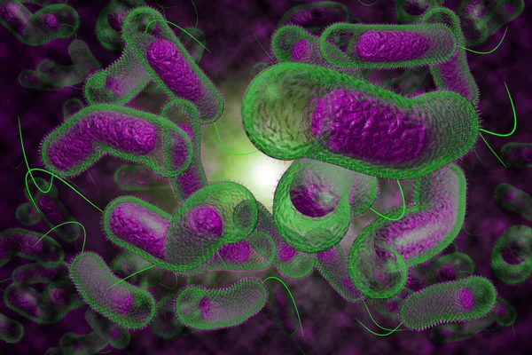 Cholera Bacteria — Stock Photo, Image