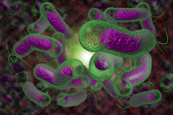 Cholera Bacteria — Stock Photo, Image