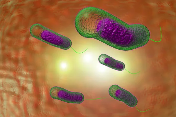 Bacterias del cólera — Foto de Stock