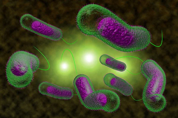Kolera bakterier — Stockfoto