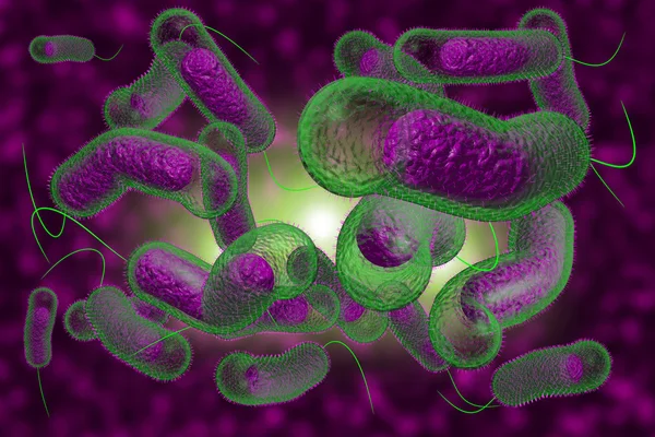 Холера бактерії — стокове фото