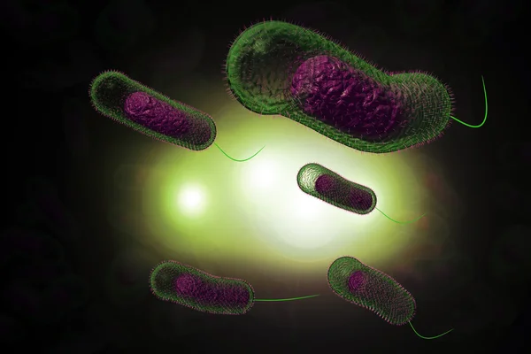 Cholera bacteriën — Stockfoto