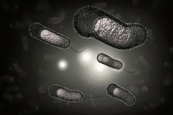 Холера бактерії — стокове фото