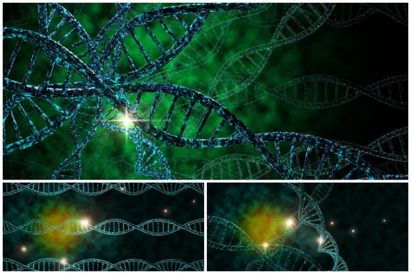 ДНК Strand колаж — стокове фото