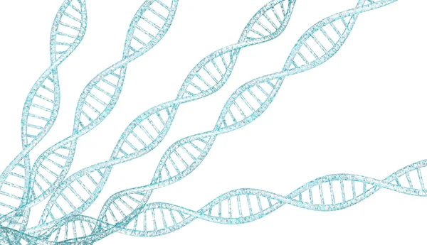 Fili di DNA — Foto Stock