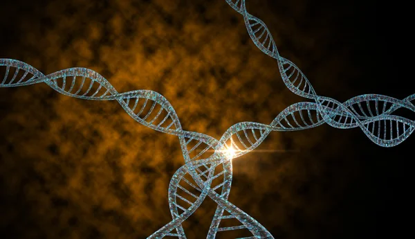 DNA-Stränge — Stockfoto