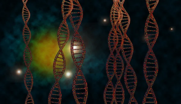 DNA-Stränge — Stockfoto