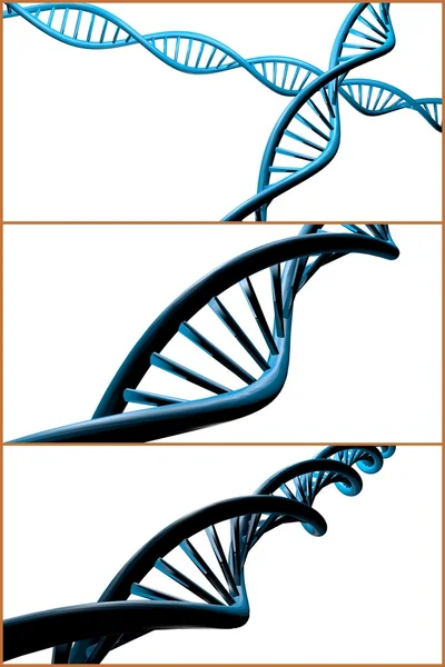 Dna 가닥 콜라주 — 스톡 사진