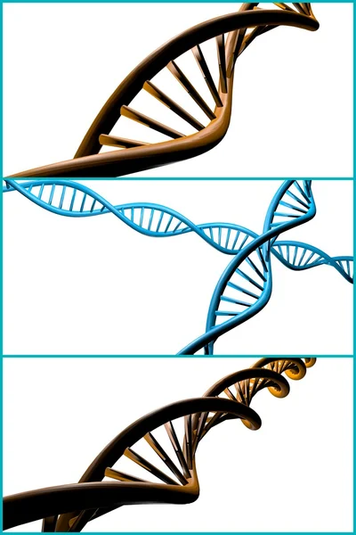 Collage filamento DNA — Foto Stock