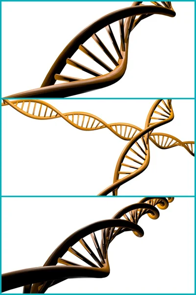 Κολάζ σκέλος DNA — Φωτογραφία Αρχείου