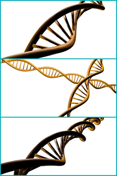 Colagem de fita de dna — Fotografia de Stock