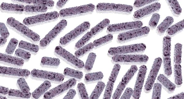 E.Coli bakteri hücreleri