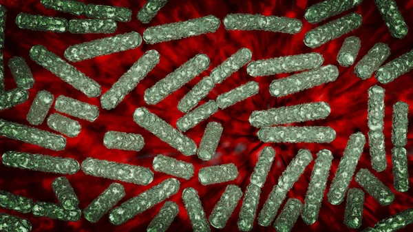 E.Coli 박테리아 세포 — 스톡 사진