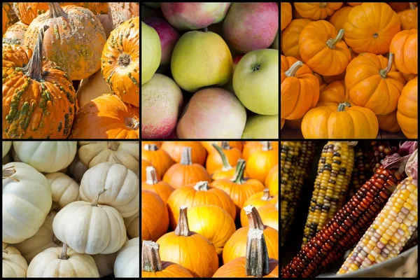 Autumn Seasonal Fruits Vegetables — Stock Photo, Image