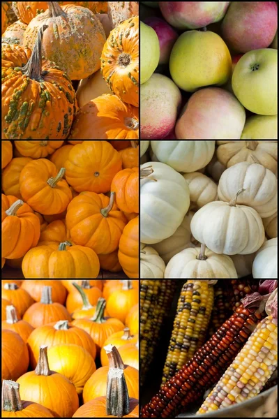 Autumn Seasonal Fruits Vegetables — Stock Photo, Image