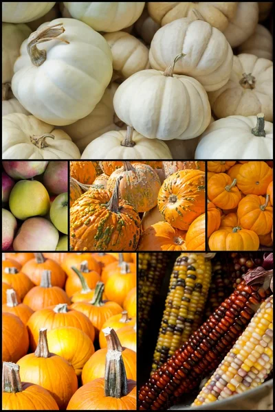 Autumn Seasonal Fruits Vegetables — Stock Photo, Image