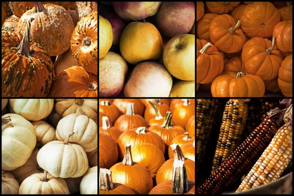 Autumn Seasonal Fruits Vegetables — Stock Photo, Image
