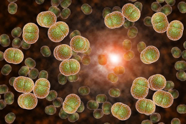 Infektion mit Meningitis-Bakterien — Stockfoto