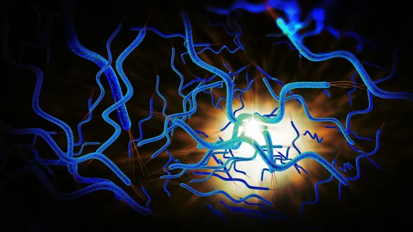 Spirilla-Bakterien — Stockfoto