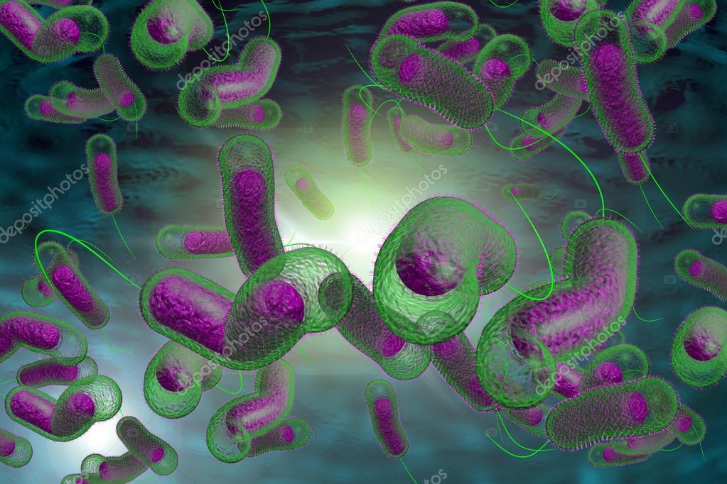 Cholera Bacteria — Stock Photo © ezumeimages 85618236