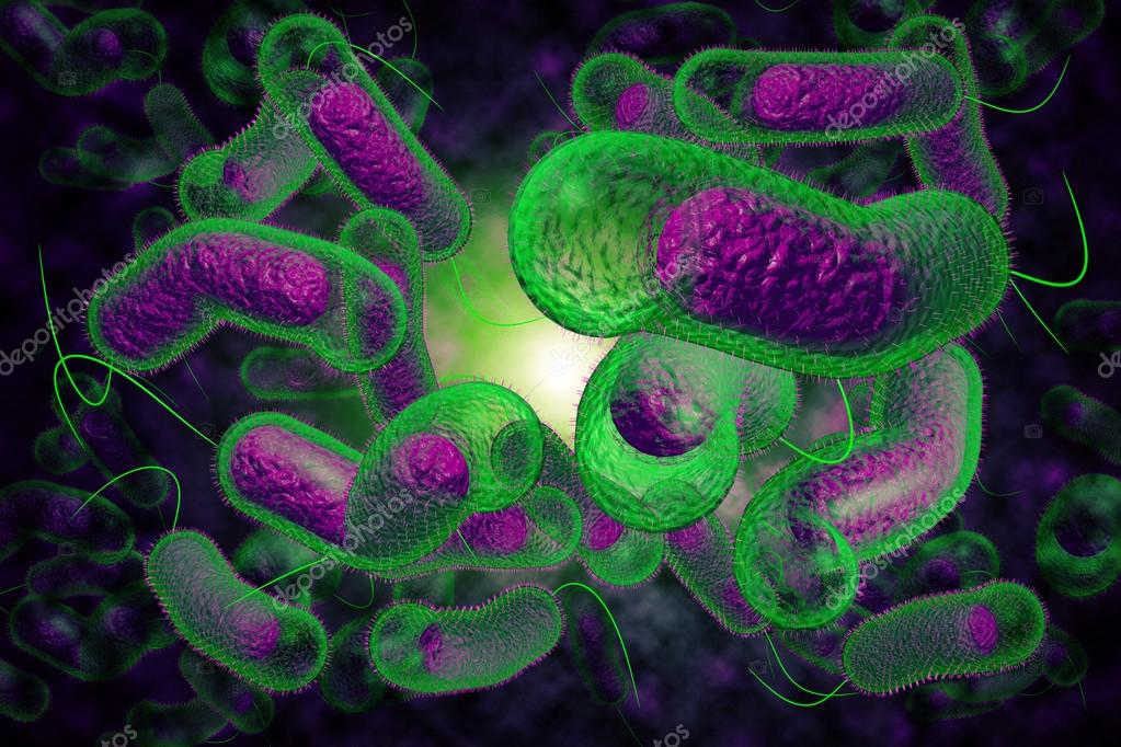 Cholera Bacteria — Stock Photo © ezumeimages 85618322