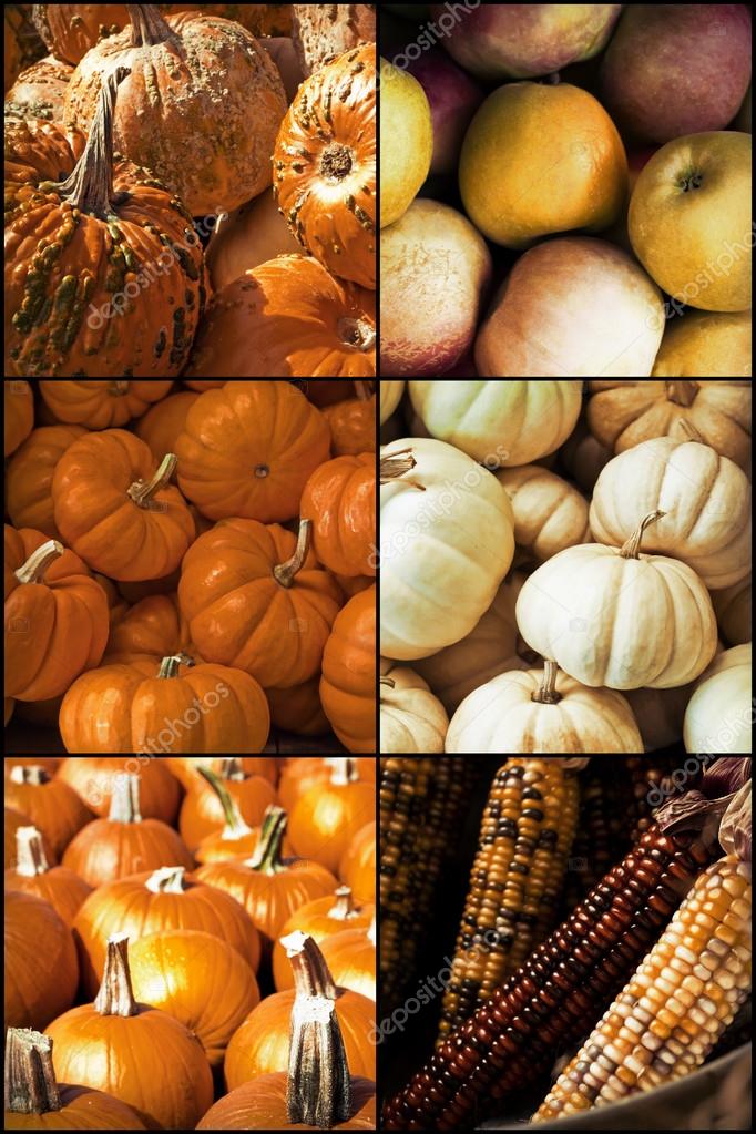 Autumn Seasonal Fruits Vegetables — Stock Photo © ezumeimages 85618892