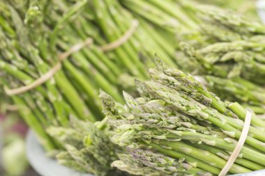 Kuşkonmaz Bunches yakın