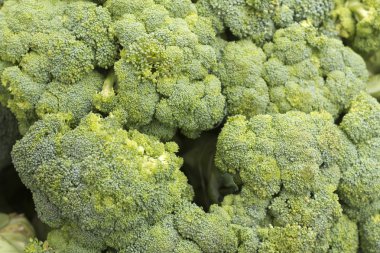 Brokoli yakın çekim