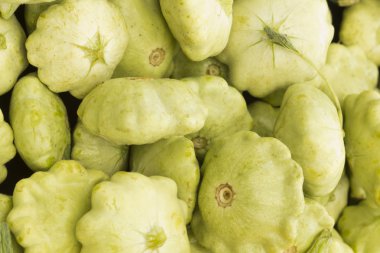 Dekoratif sonbahar su kabakları