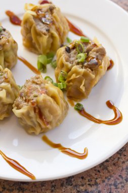 Çin Dim Sum böreği