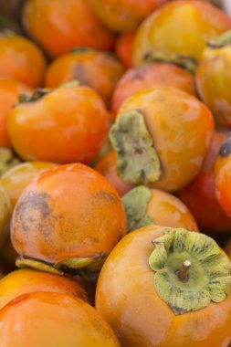 Trabzon hurması meyve kapatmak