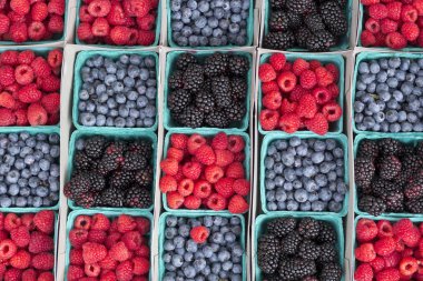 Çilek böğürtlen böğürtlen