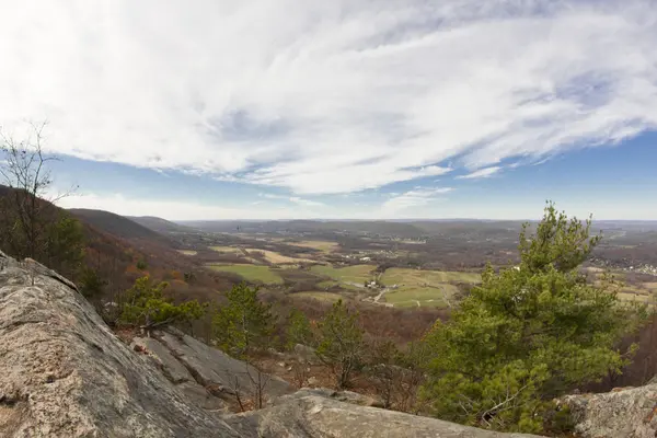 Appalachian Mountain Pine — Stockfoto