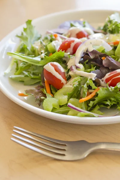 Garden Salad Ranch — Stock Photo, Image