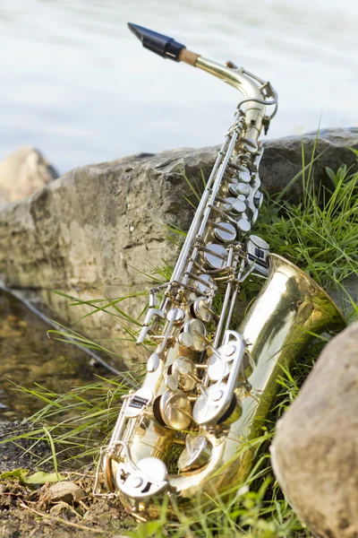 Alto Saxophone Lake — Stock Photo, Image