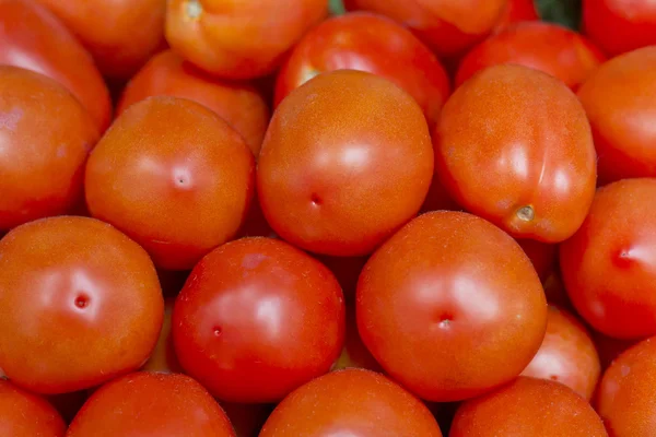 Plum tomaten close-up — Stockfoto