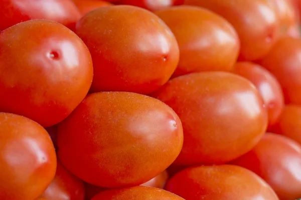 Pomodori di prugna Primo piano — Foto Stock