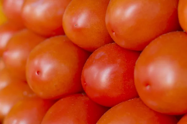 Tomates prunes Gros plan — Photo