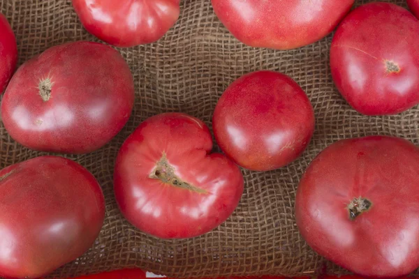 Tomates héritées Chanvre — Photo